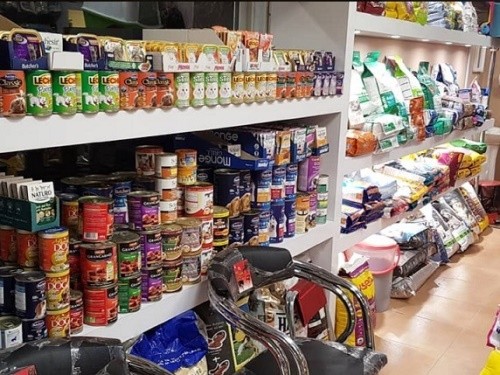 پت شاپ هاف هافو در گیشا