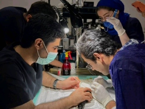 بیمارستان دامپزشکی ورکان در گرگان