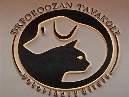 کلینیک دامپزشکی دکتر افروز توکلی در زاهدان