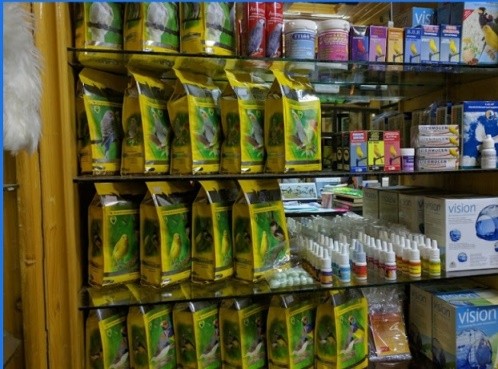 کلینیک دامپزشکی دکتر شهرکی در زاهدان