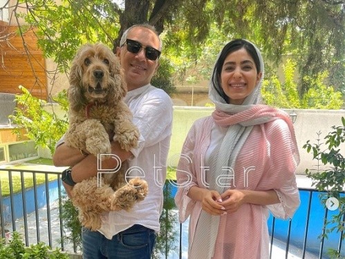 هتل پانسیون سگ پت استار در نیاوران