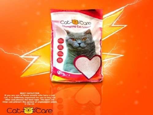 خاک گربه کت کر (catcare)