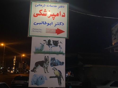 کلینیک دامپزشکی دکتر امید ابوطالبی در کردکوی گلستان