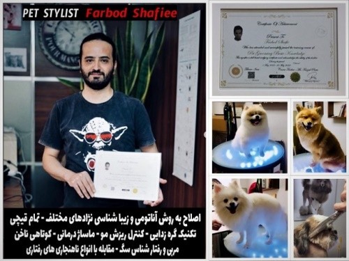 مرکز تخصصی آرایش حیوانات استان قزوین