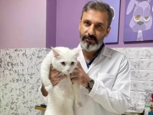 کلینیک دامپزشکی هفال (دکتر کروژدهی) در پاسداران