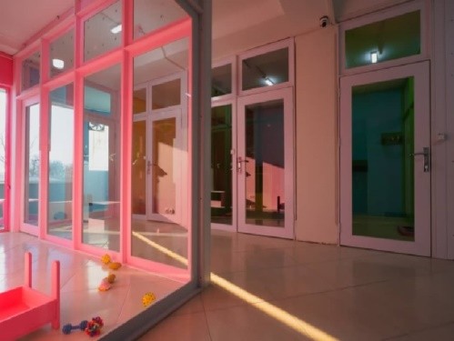 پانسیون سگ و گربه سایمون در جنت آباد