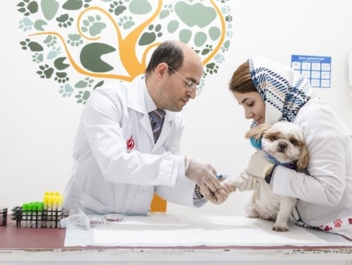 آزمایشگاه دامپزشکی لابرا در ستارخان