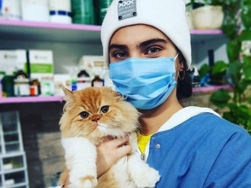 کلینیک دامپزشکی دکتر پیمان مقدس در اندیشه