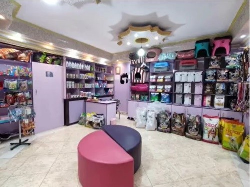 کلینیک دامپزشکی و پت شاپ بامداد (دکتر حسینی) در بومهن