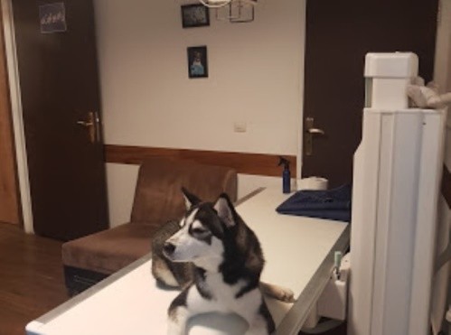 مرکز تصویربرداری دامپزشکی دکتر بهمنش در پارک وی