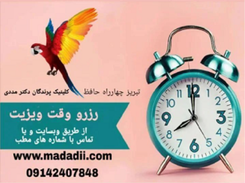 کلینیک دامپزشکی تخصصی پرندگان دکتر مددی در تبریز