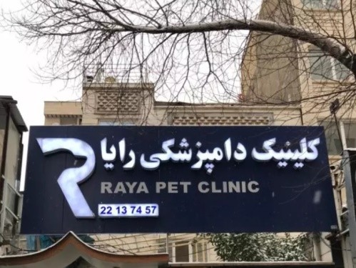 کلینیک دامپزشکی رایا در شهرک غرب