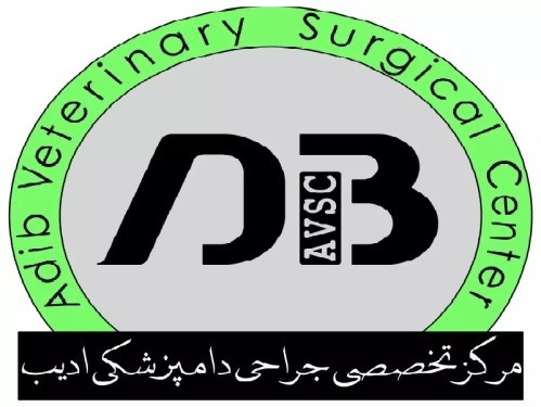 کلینیک تخصصی جراحی دامپزشکی ادیب در بابل
