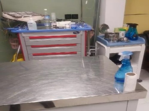 کلینیک دامپزشکی ثابت در مجیدیه