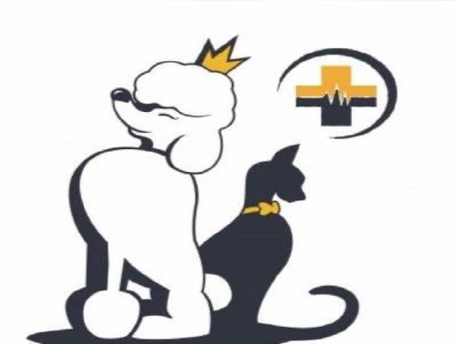پت شاپ پارسیان (پاسداران) در دزاشیب