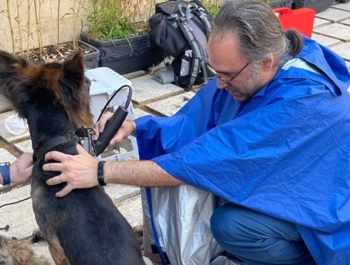 خدمات  اصلاح و شستشوی سیار سگ و جوندگان سروشمس در کرج و تهران