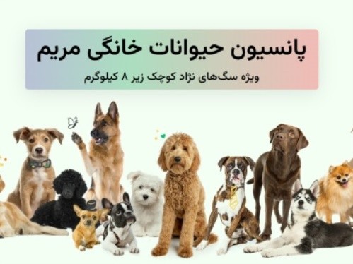 هتل پانسیون خانگی سگ مریم در ستارخان