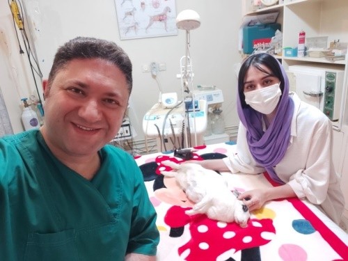 کلینیک دامپزشکی دکتر شمشیری در اصفهان