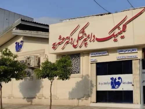 کلینیک دامپزشکی تخصصی دام کوچک دکتر عشریه در قائمشهر