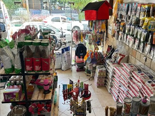  پت شاپ تامی پت در گوهردشت کرج | پت شاپ های گوهردشت