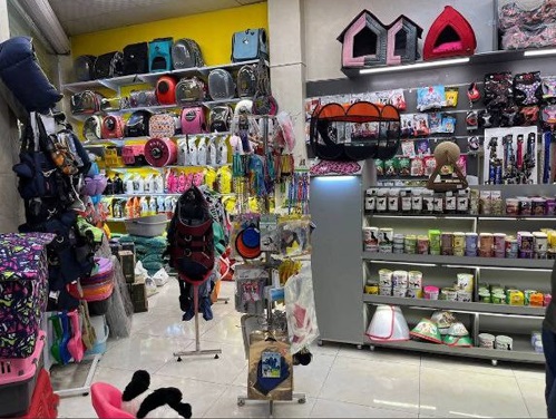 اطلاعات کامل پت شاپ تیله در رشت | پت شاپ در رشت