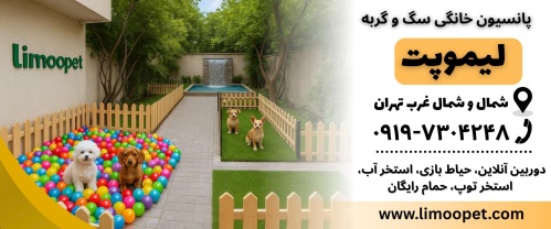 پانسیون خانگی سگ و گربه لیموپت در شمال غرب تهران