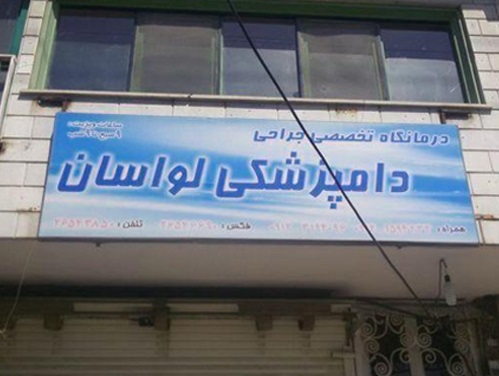 کلینیک دامپزشکی دکتر داوود شریفی در لواسان