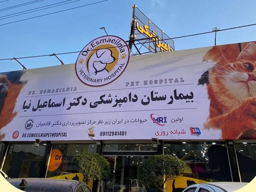 بیمارستان دامپزشکی، پانسیون، پت شاپ و  مرکز اصلاح دکتر اسماعیل نیا در بابلسر