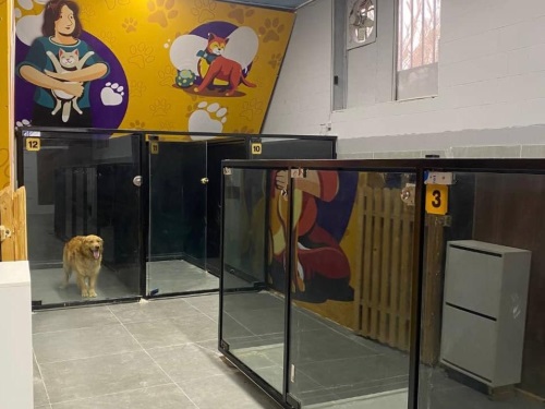 بیمارستان دامپزشکی، پانسیون، پت شاپ و  مرکز اصلاح دکتر اسماعیل نیا در بابلسر