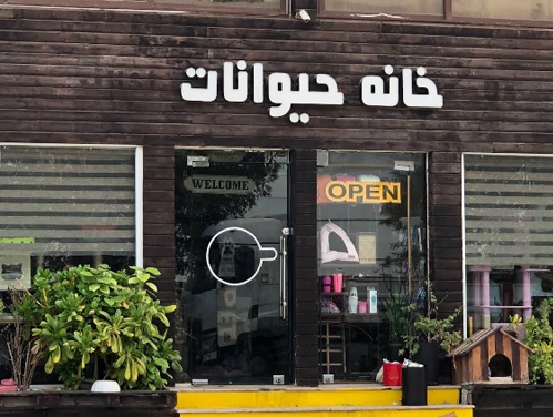 پت شاپ خانه حیوانات ( سفیر قدیم) در کیش| پت شاپ های کیش