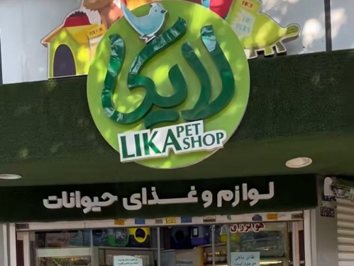 پت شاپ لایکا در تهران نو | پت شاپ آنلاین 