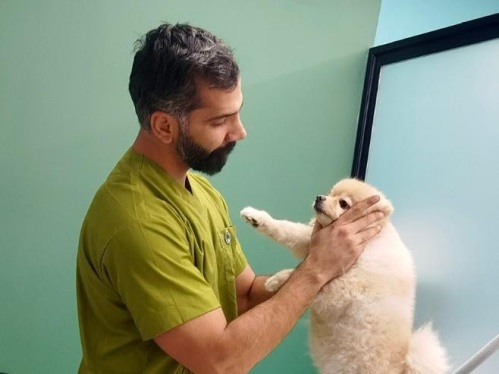 کلینیک دامپزشکی قم دکتر گیوه چی (دی)