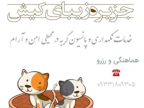 پانسیون گربه و پرندگان ویکی در کیش  | پانسیون گربه کیش