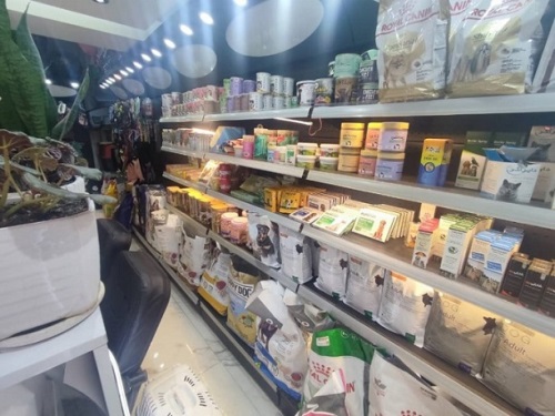 کلینیک دامپزشکی چالوس پرشین