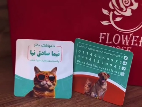 دامپزشکی تنکابن پت شاپ و دامپزشکی دکتر صادق نیا در تنکابن