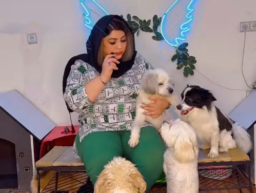 اطلاعات کامل پانسیون سگ ، گربه و خرگوش در دزفول خوزستان