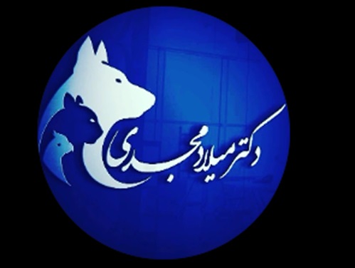 پت شاپ و دامپزشکی دکتر مجدی در دزفول خوزستان