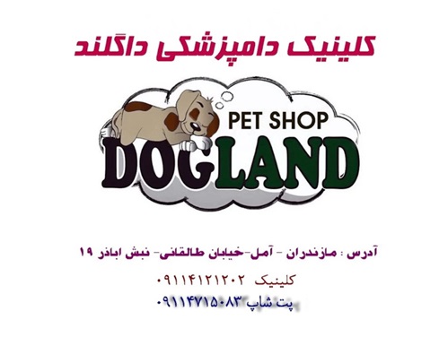پت شاپ در آمل | پت شاپ داگلند آمل