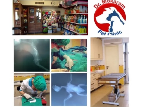 کلینیک دامپزشکی دکتر مکرم در ستاری