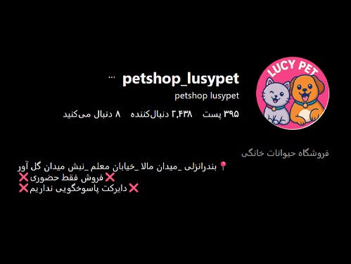 پت شاپ و فروشگاه حیوانات لوسی پت | پت انزلی