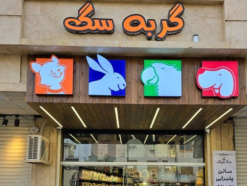 پت شاپ گربه سگ در فومن گیلان 