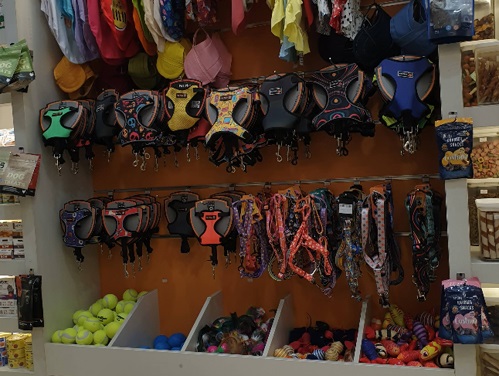 پت شاپ گربه سگ در فومن گیلان