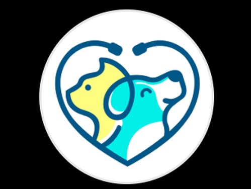 پت شاپ و دامپزشکی دکتر امیر اسماعیل پور | دامپزشکی در پرند و رباط کریم