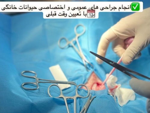 کلینیک دامپزشکی روژمان در پرند | دامپزشکی در رباط کریم و پرند