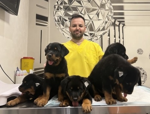 کلینیک دامپزشکی دکتر پویا در گوهردشت کرج