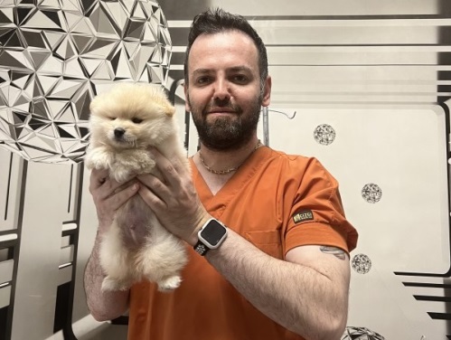 کلینیک دامپزشکی دکتر پویا در گوهردشت کرج