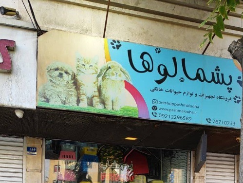 اطلاعات کامل پت شاپ تهرانپارس با نام پشمالوها در باقری