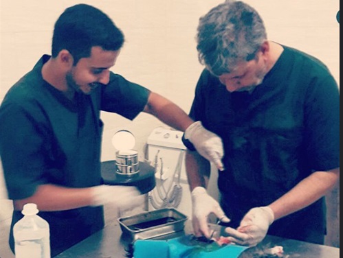 کلینیک دامپزشکی شبانه روزی یزد ( آبان ) | بیمارستان دامپزشکی آبان یزد