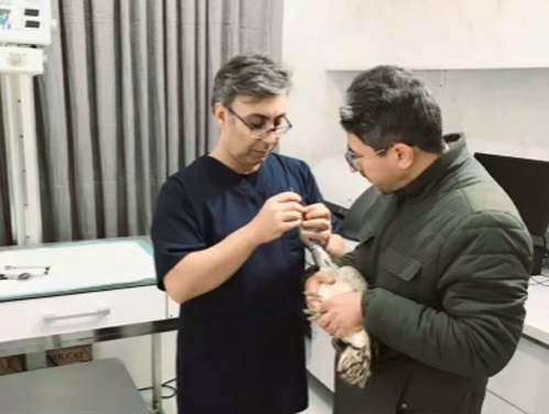 دامپزشکی در بروجرد ، دکتر مسعود سلطانی دامپزشکی و پت شاپ بروجرد