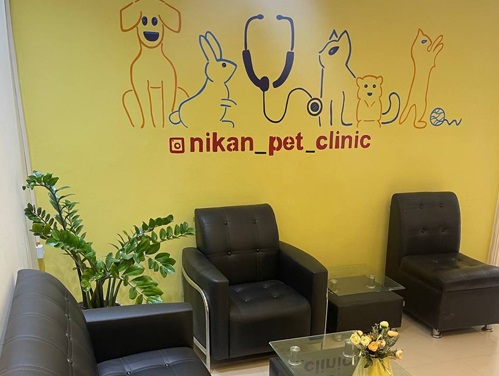 دامپزشکی نیکان در مشهد | پت شاپ و دامپزشکی مشهد